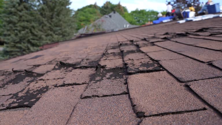 Best Roofing for New Construction  in Greenfield, TN