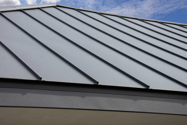 Best Sheet Metal Roofing  in Greenfield, TN